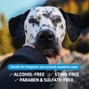 Veterinary Formula Smart Coat Complex Eye + Face Wipes for