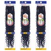 SHAKE-N-GO Synthetic Hair Crochet Braids Boho Hippie Braid 22" (3-pack,