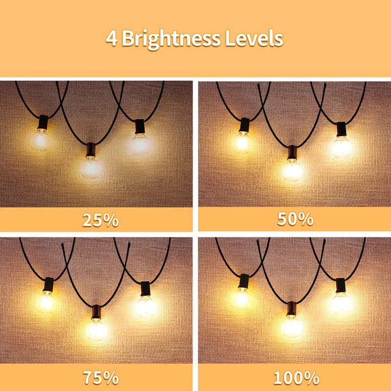 SANBEN 100ft String Lights with Remote, 50+2 LED Bulbs Dimmable