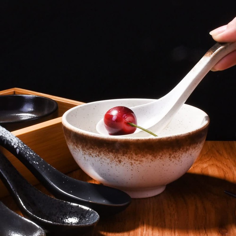 Cerficer Japanese Soup Spoon Set of 5 Asian Ceramic Ramen