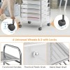 10 Compartment Transparent Multicolor Rolling Storage Cart Organizer with 4