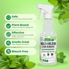 Mighty Mint Mold & Mildew Stain Remover Spray, Rapid Clean
