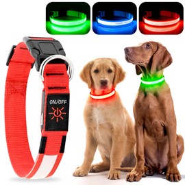 YFbrite Ultra Light USB Rechargeable LED Dog Collar - Adjustable Light up Dog Collar - Waterproof Dog Collar - Flashing Dog Collar Visiblity & Safety for Your Dogs (Red, Small)