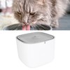 Pet Water Fountain Prevent Slip Circulating Filtering Detachable Automatic Pet