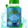 Beary Fine Sea Moss Gummies & Apple Cider Vinegar -