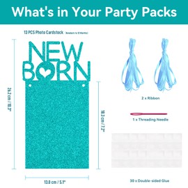 1st Birthday Baby Photo Banner for Newborn to 12 Months, Monthly Milestone Photograph Bunting Garland, Monthly Photo Banner for Baby Boys Girls First Birthday Party Celebration Decoration (Blue Glitter)