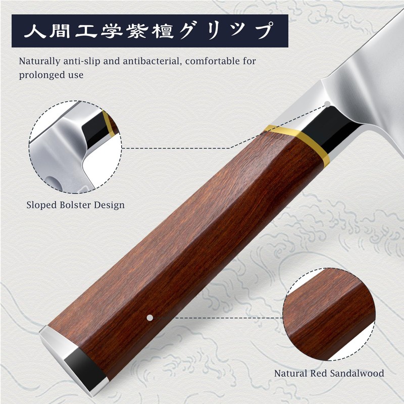 HOSHANHO Brisket Slicing Knife 12 Inch, Japanese High Carbon Steel