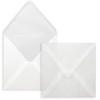 FarbenFroh by GUSTAV NEUSER Transparent envelopes - 50 pieces -