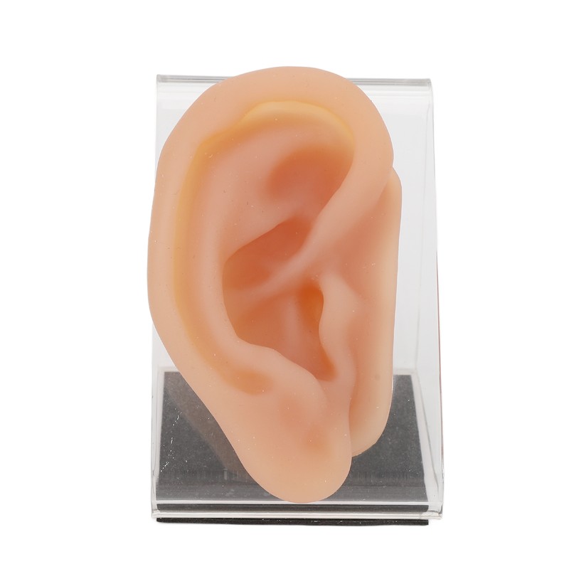 Silicone Ear Model Simulated Ear Model Acupuncture Practice Tool with