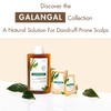Klorane Galangal Treating Powder – Mask for Persistent Dandruff 8x3gr
