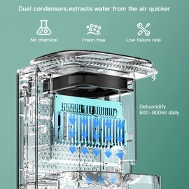 Dehumidifier and Air Purifier Combo,HEPA H13 Filter and Negative Air Ion Function,54oz(1600ML) Water Tank with Drain Hose,24hrs Auto-Off Timer,Idea for Bedroom,Bathroom,Closet,RV