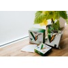 HARIO V60 Paper Filter Unbleached for 1-2 Cups