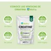 Suplemento Wellthy Creatina Creapure De 330g