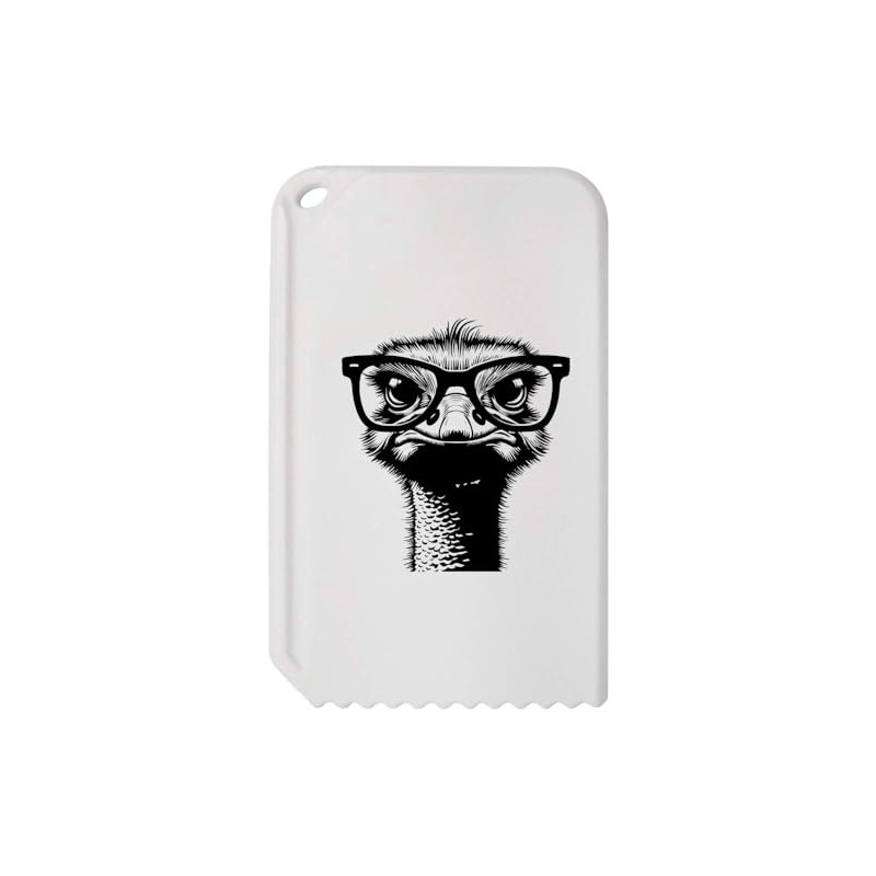 Azeeda 'Ostrich Wearing Glasses' Plastic Ice Scraper (IC00038025)