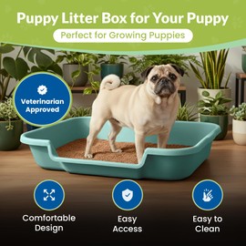PuppyGoHere Dog Litter Box, Large Size, Misty Gray, Durable & Pet Safe, Indoor Open Top Entry Litter Pan, Comfortable for Puppy, Great for Dogs up to 20 lbs