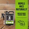 Grandpa Gus's Rodent Repellent (1 Gallon / 3.79 L)