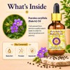 Deve Herbes Pure Babchi Oil (Psoralea corylifolia) with Glass Dropper
