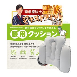 2024 Newest (Physical The) Lumbar Pillow, Large Back Support, Shinkansen Airplane, Air, Backrest, Portable