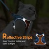 Dooradar Cat Harness and Leash Set, Escape Proof Lightweight Kitten