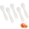 LLMSIX 5pcs Caviar Spoons, Mother of Pearl Spoon with Hand