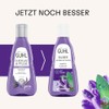 Guhl Silver Shine & Care Shampoo – Contents: 250 ml