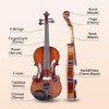 Vetimobato Violin 4/4 Full Set Violin for Beginners & Adults
