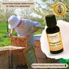 Imkergut Proposan Propolis Tincture, Propolis Drops with Alcohol, 20% Propolis,