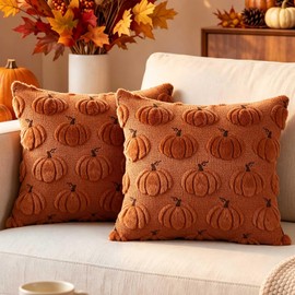Benjia Autumn 20x20 Cushion Covers Set of 2, Fall Pumpkin Throw Pillow Covers Soft Plush Faux Fur Wool 50 x 50 cm Autumn Cushion Case for Indoor Home Bedroom Couch Sofa Decor (Brown)