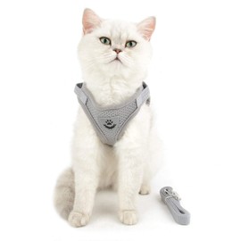 RANPHY Cat Harness Lead Set, Cute, For Both Dogs and Cats, Includes Reflective Tape, Stylish, Chest Attached, Complete Wearing Without Raising Your Legs Up, Tight, Lightweight, Breathable, Mesh, Easy
