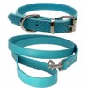 Vibrant Leather Dog Collar & Lead Combo Set for Puppy,