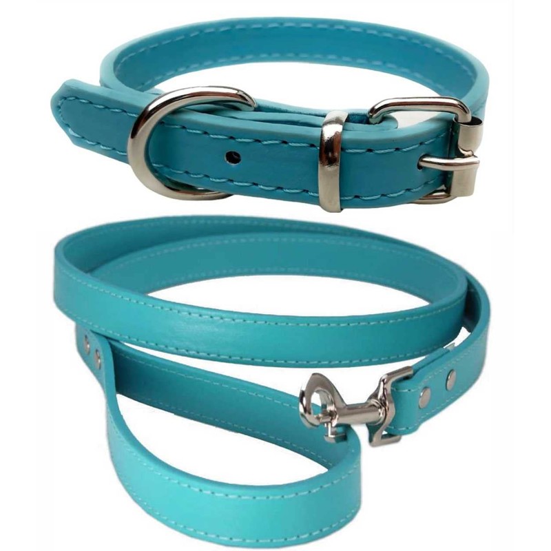 Vibrant Leather Dog Collar & Lead Combo Set for Puppy,