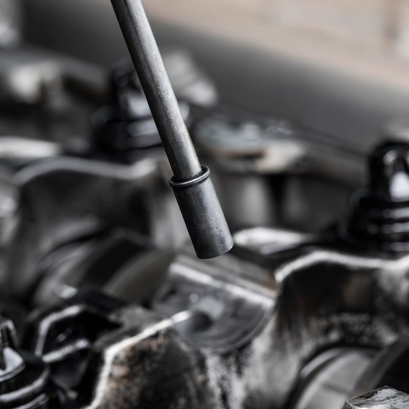 Sealey Injector Bore Cleaning Brush Set 14pc - VS1900, Red