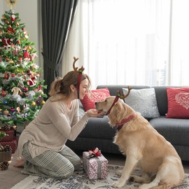 Antler Horn Headpiece Reindeer Headband Costume Hat Horn Christmas Gift Headband Accessories (Small, Brown)