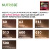 Garnier Hair Color Express Retouch Gray Hair Concealer, Instant Gray