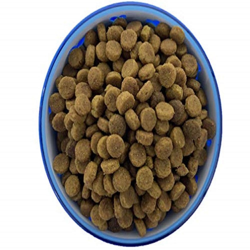 AFP Drink and Food Bowl, 900 ml, Blue