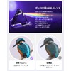 [Latest Industry-leading BAK4 Optical Lens] Binoculars for Live Use, 20x