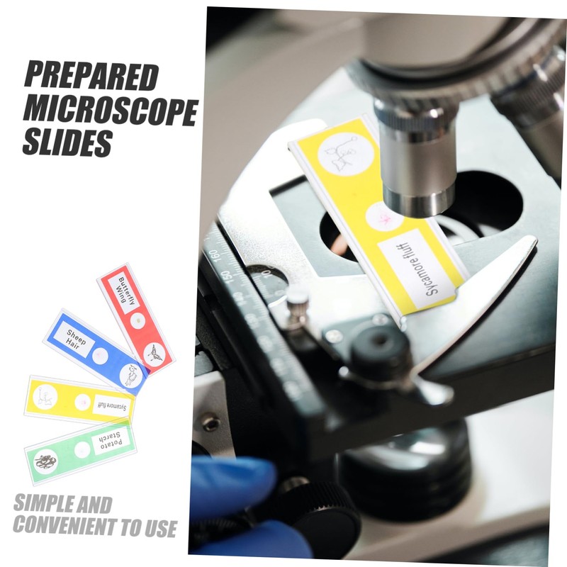 Hohopeti 12 pcs Prepared Microscope Slides for Educational Science Classroom