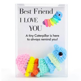 TIFFYONEK Best Friend Caterpillar Toy, Positive Crochet Plush for Daughter Sister Coworker Employee, Christmas Birthday Graduation Friendship Gift for Women Girls Bedroom Office Car Decor
