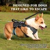 VOOPET Escape Proof Dog Harness, Soft Padded Full Body Pet