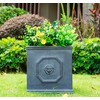 Kante Square Lion Head Concrete Planter, Classic English Style Plant