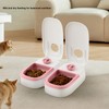 2 Meal Automatic Pet Feeder Large Capacity Smart Timed Dry
