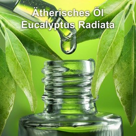 European Organic Certified Eucalyptus Essential Oil 30ml / 유럽 유기농인증 유칼립투스 에센셜 오일 30ml