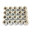 Deepa Ribusu Suzuki Subaru Nissan Penetration Nut 19HEX 20 Piece