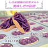 Shiroma Seika Purple Sweet Potato Tarts, 12 pieces x 1