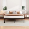 Hafenpo 18 Inch Queen Bed Frame - Sturdy Metal Platform
