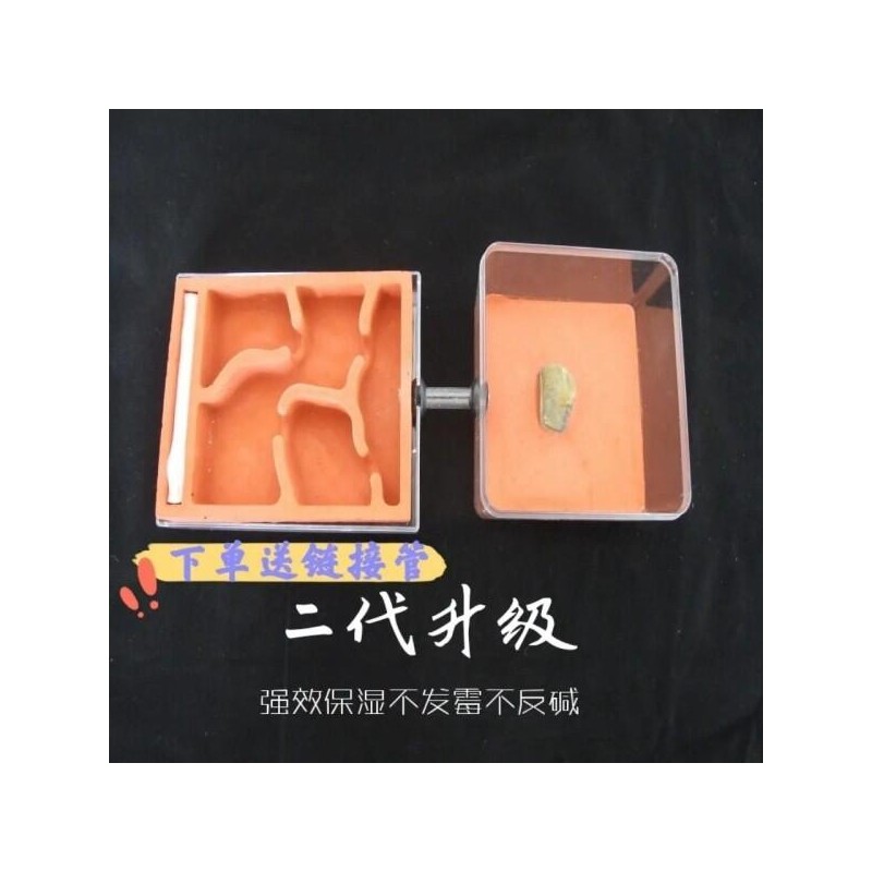 콘크리트 평면 석고 둥지 개미 작업장 고보습 풍경 [02 S]