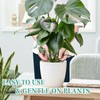 8pcs Plant Stem Support, Plant Support for Indoor Plants, Plastic