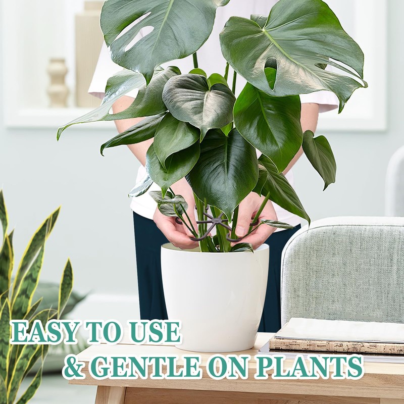 8pcs Plant Stem Support, Plant Support for Indoor Plants, Plastic