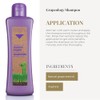Salerm Biokera Grapeology Shampoo, 10.14 Ounce/300 ml