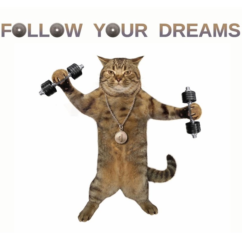 Vinyl Coated Dumbbells, 1 Pair